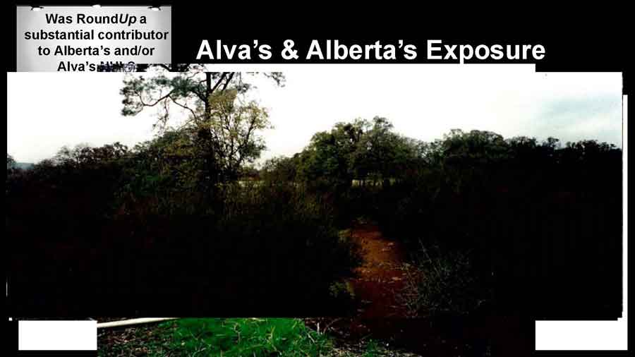 Alva & Alberta's exposure